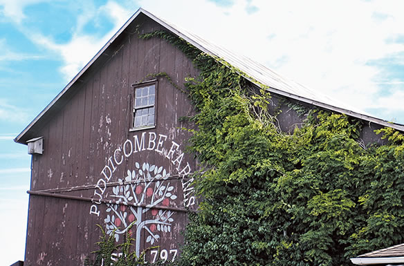 puddicombe_farms Puddicombe Farms