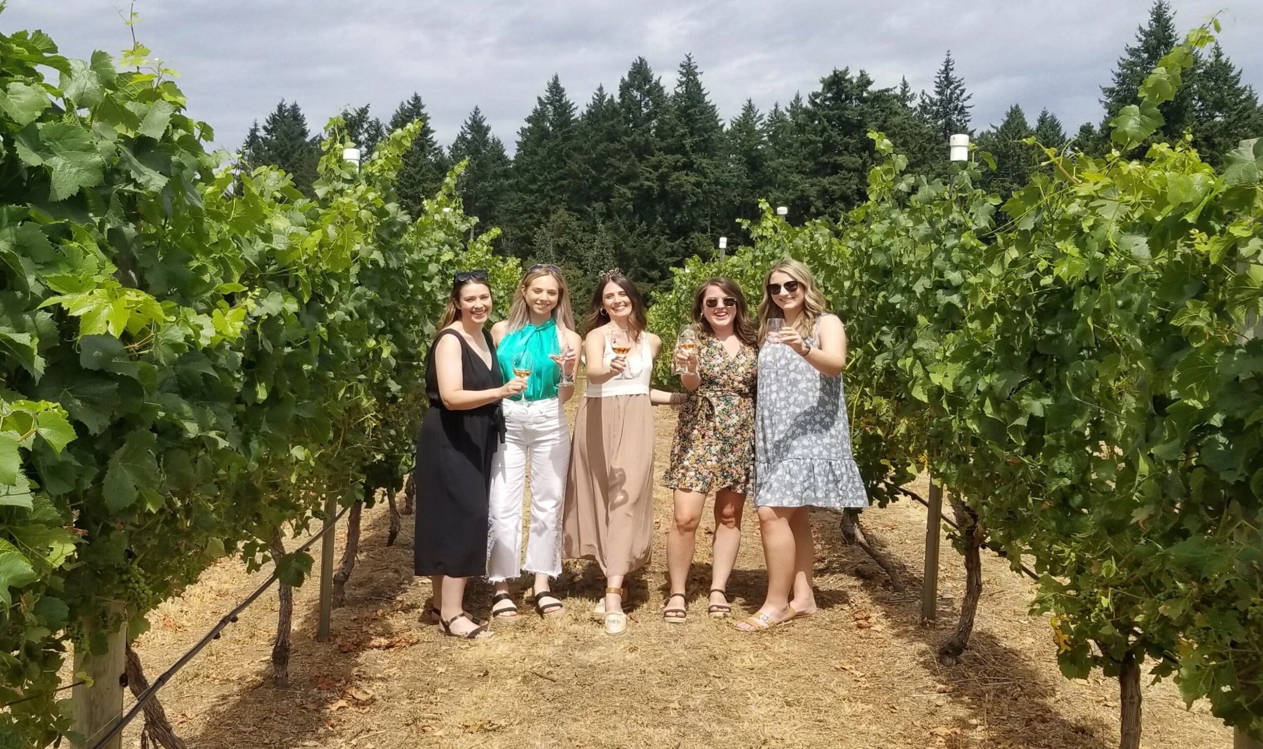 Guided Winery Tour
