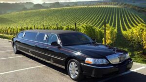 Limousine Wine Tour